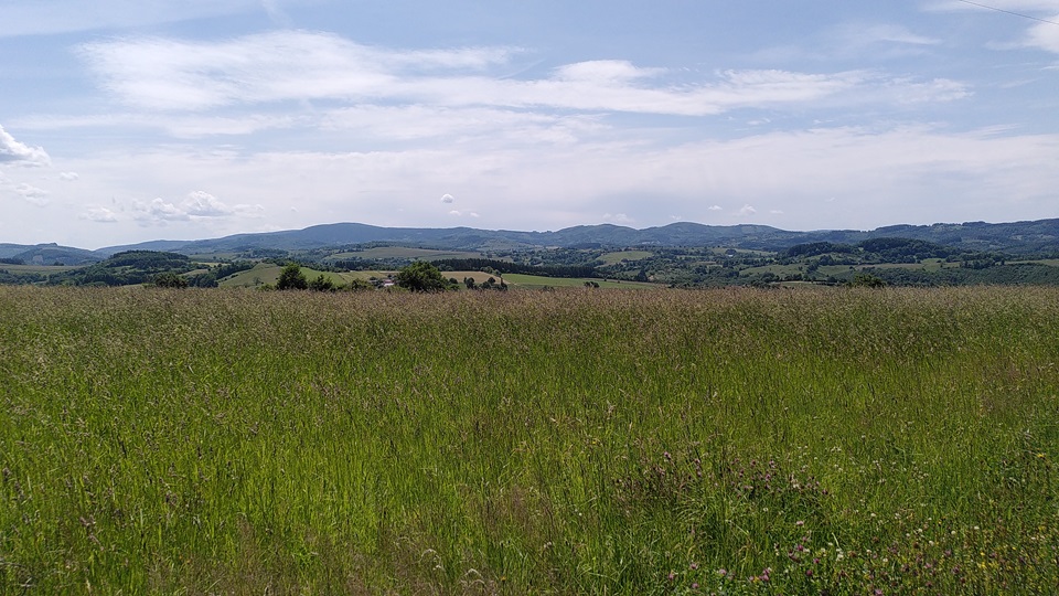 IMG-20250531-WA0043.jpeg